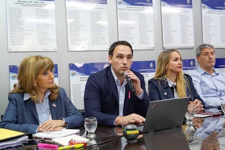 Salud: Rodolfo Montero presentó en la Cámara de Diputados el Presupuesto 2027.