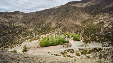 Actividad caprina y ovina en Las Heras.