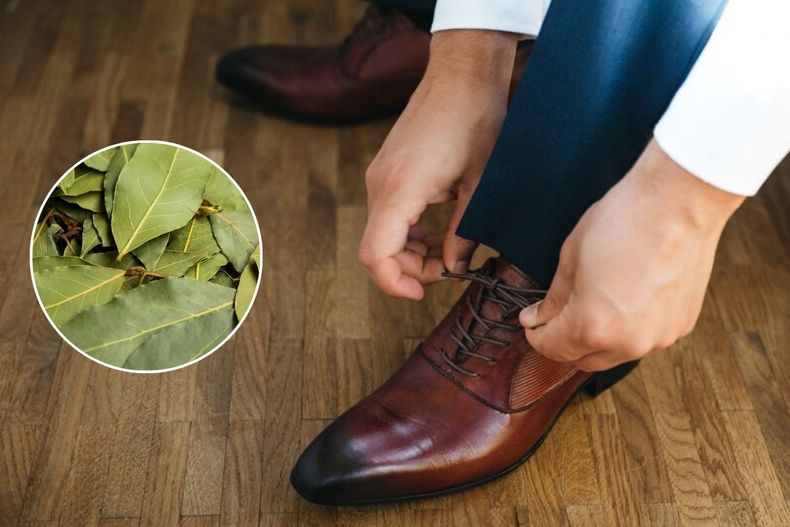 Por qué recomiendan poner una hoja de laurel en el zapato