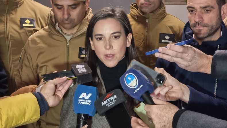 Carne ilegal y faena clandestina: Mercedes Rus dio detalles sobre el plan para frenar el abigeato