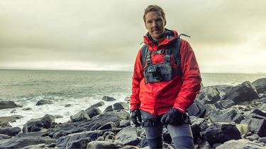 Esta serie de Disney+ pone a prueba a las celebridades.