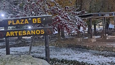 El Manzano Histórico se tiñó de blanco y dejó postales únicos