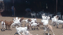 Munco Uco en Valle de Uco.