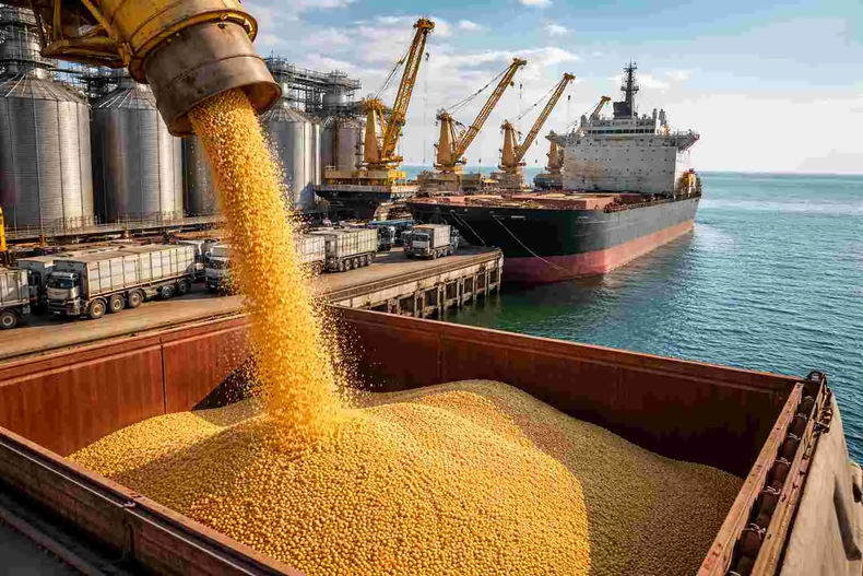 El precio de la soja se dispara por mayores compras chinas.