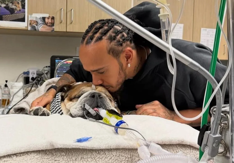 Roscoe fue el fiel compañero de Lewis Hamilton durante 12 años y un símbolo querido del paddock de la F1.