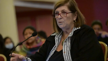 la vicepresidenta de la ucr: es muy probable que apoyemos a massa
