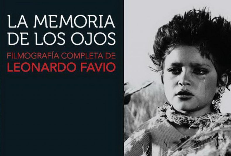 Favio memoria redimensionar