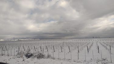 En el comienzo de la primavera nevó en el Valle de Uco.