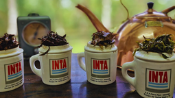 La infusión argentina gana reconocimiento internacional