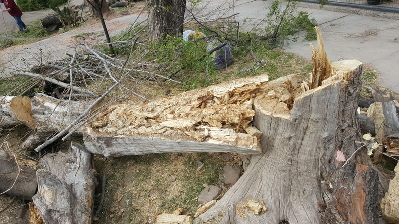 El viento Zonda gener&oacute; desmanes en distintos puntos de Mendoza