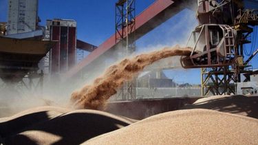 El valor de la próxima cosecha podría alcanzar el récord de US$ 36.500 millones