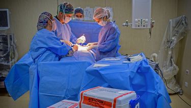 Récord nacional de donación de órganos: el Hospital Central lidera los trasplantes en Mendoza.