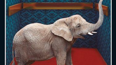 Sitio Andino | el elefante desaparece