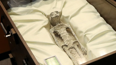 Presentaron cadáveres no humanos en el Congreso de México: aseguran que son extraterrestres fosilizados