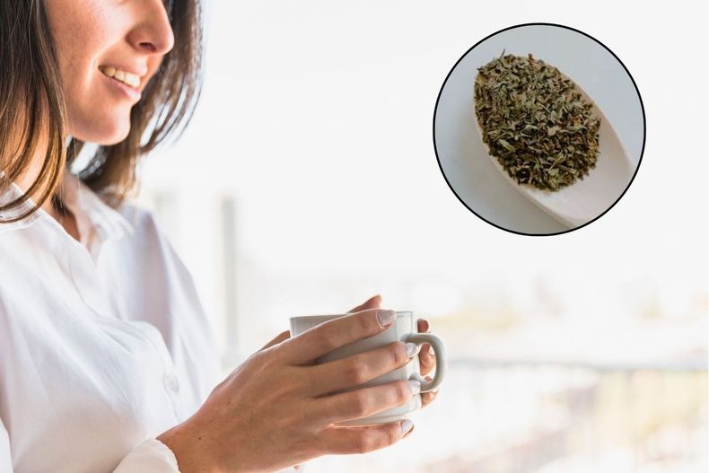 El té de orégano: tu aliado para la salud