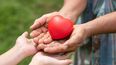 Cada 30 de mayo, se conmemora el Día Nacional de la Donación de Órganos.