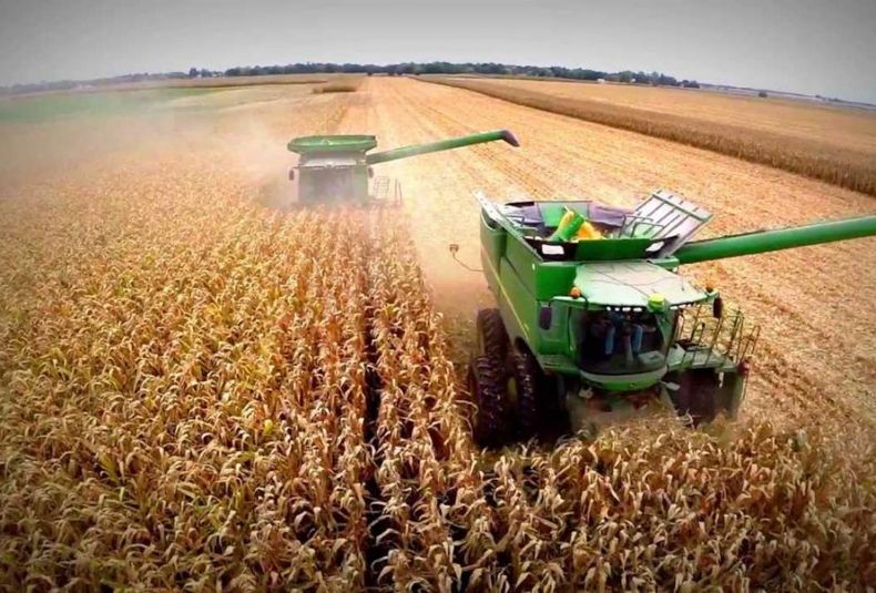 Menos retenciones para el agro: el detalle de las nuevas alícuotas por cultivo
