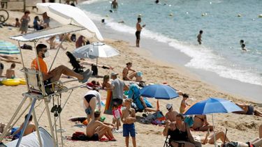 Sitio Andino | 5fa2b84f26b5e_896_607!.jpg?s=d7ce408591fee6fe46f5da7b9b8c1746&d=1604499849