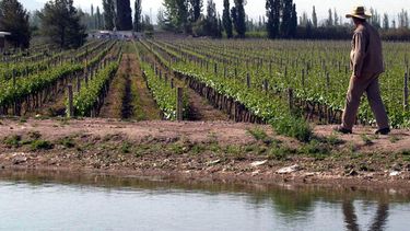 El riego acordado beneficia a la producción agrícola -archivo-