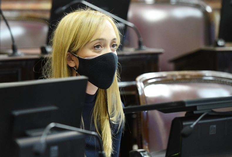 Anabel Fernandez Sagasti, Senado, Congreso, senadora