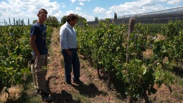 Mendoza Activa 2: 1.316 nuevos proyectos de inversión se sumaron en la cuarta convocatoria