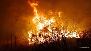 bomberos de alvear combaten incendios forestales