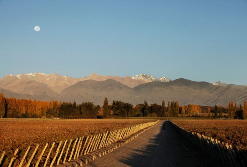 Mendoza