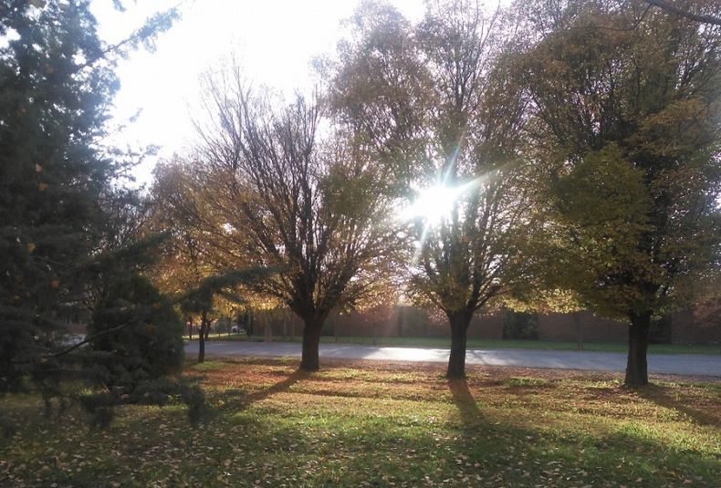 Otoño 2021 1