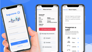 como hacer la inspeccion del auto de manera online