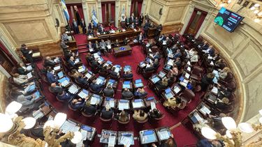 Traspié para el Gobierno por el avance del proyecto de emergencia en Discapacidad en el Senado