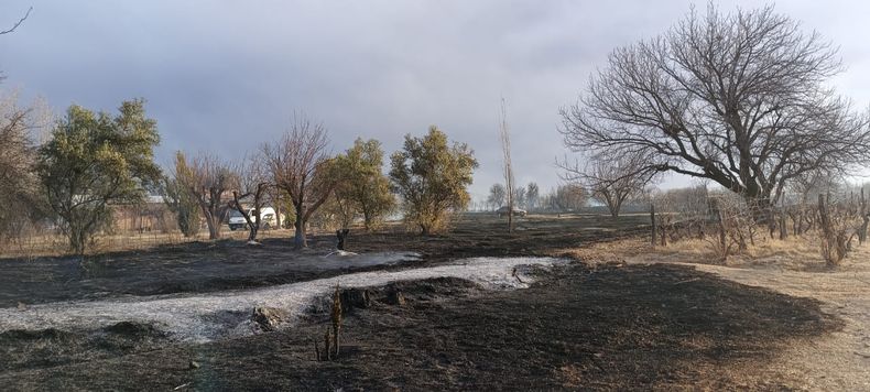 En San Rafael se activaron varios focos de incendio