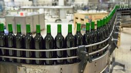 Pese a los datos de excedentes, el Banco de Vinos de Mendoza debutó sin depósitos de volúmenes
