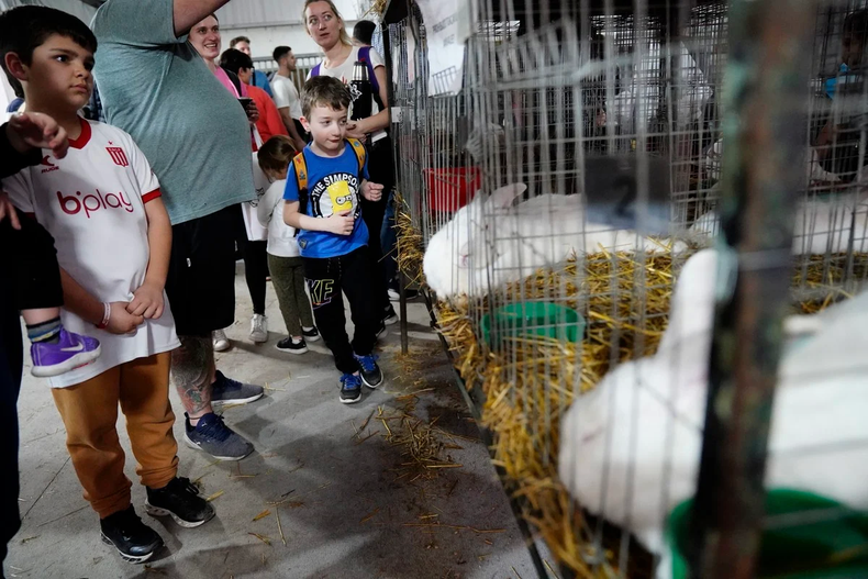 Exposición Rural Argentina 2023: un recorrido en imágenes
