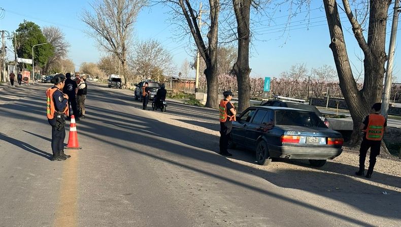 Efectivos de distintas divisiones de la Policía de Mendoza participaron del operativo en Tupungato.