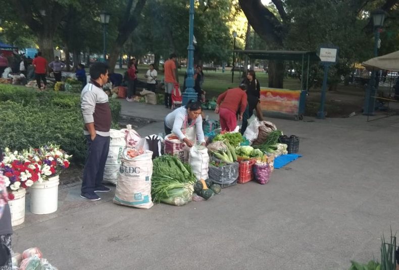 Una oferta de tomate en pleno Centro atrajo a muchos consumidores y consumidoras de Mendoza&nbsp;