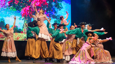Desde el próximo 3 de abril retorna la Escuela de Danzas en Ciudad