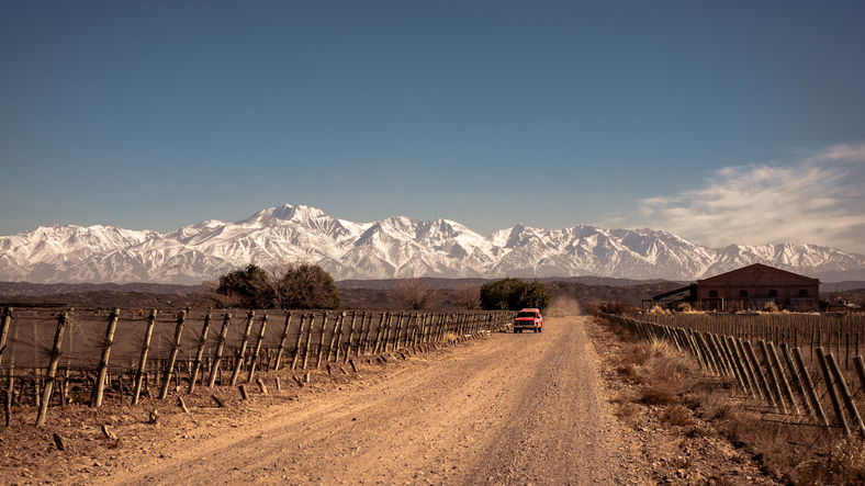 Pionera del nuevo vino argentino comienza una nueva etapa