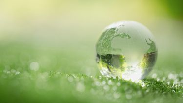 Día Internacional de las Reservas de Biosfera: por qué celebra hoy, 3 de noviembre