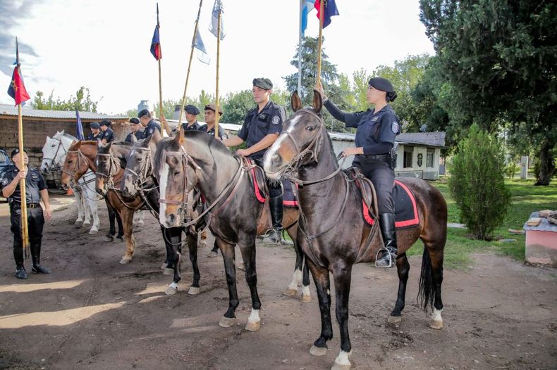 Afortunada, Villano y Curaca, tres caballos emblemáticos de la Policía Montada, se despidieron definitivamente del servicio activo