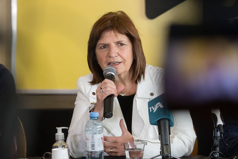 Por La Campaña, Bullrich Toma Licencia De La Presidencia Del PRO