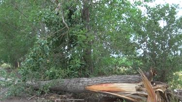 Consecuencias de la torrencial tormenta caída en Eugenio Bustos