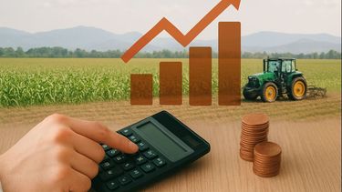 El Congreso debatirá la reforma tributaria propuesta por el mileísmo. El Congreso debatirá la reforma tributaria propuesta por el mileísmo.