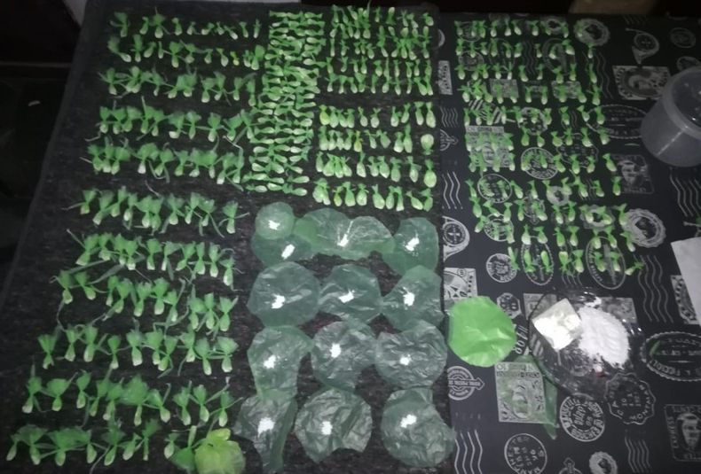 secuestro de marihuana, quiosco de droga