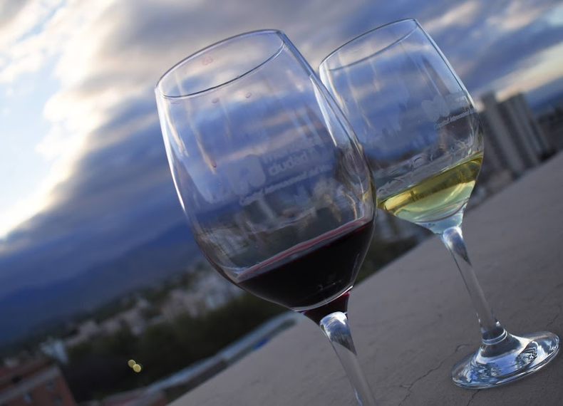 Una experiencia única con el vino mendocino