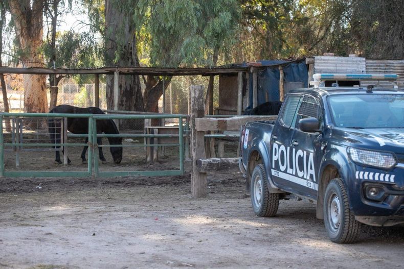 El delito de abigeato se multiplica y crece la preocupación. 