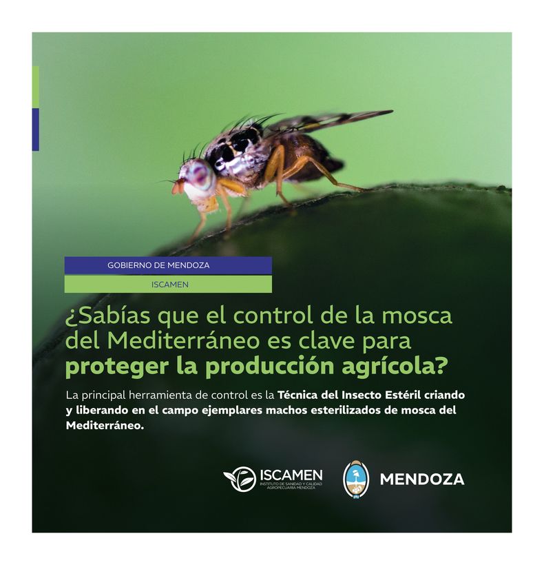 Mendoza, una de las principales provincias agrícolas del país, se destaca por su vitivinicultura