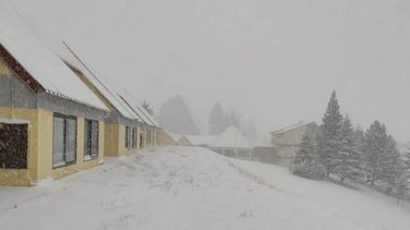 nieva copiosamente en las lenas