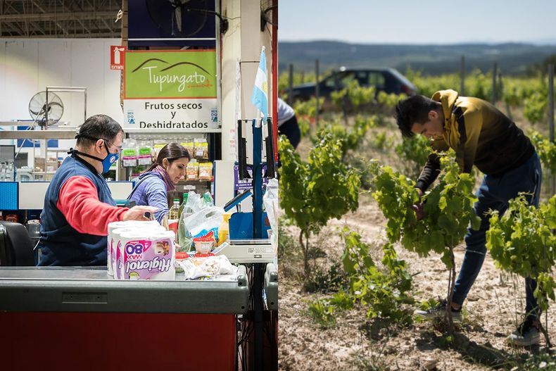 Comercio y agro generan empleo en Mendoza, pero los salarios promedio están rezagados frente a los del resto del país
