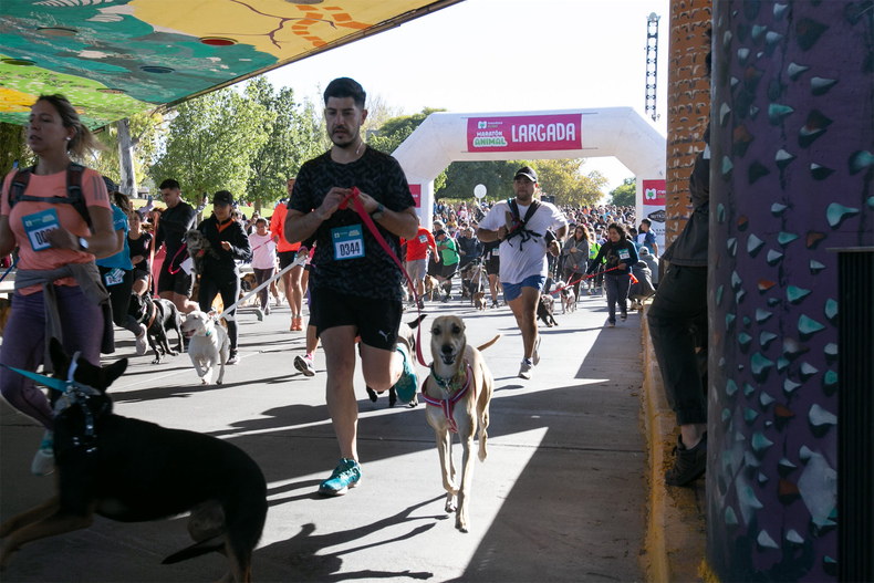 La Municipalidad de Mendoza impulsa una nueva edición de la Maratón Animal 2025 La Municipalidad de Mendoza impulsa una nueva edición de la Maratón Animal 2025