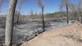 Así está ahora la zona de los incendios en el Sur